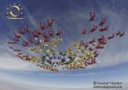 WT_FIF2014_AndreyVeselov111.JPG
