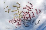GR_2014_by_Andrey_Veselov88.JPG