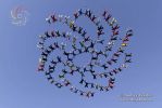 K_Dives2013_110way_AndreyVeselov21b.JPG